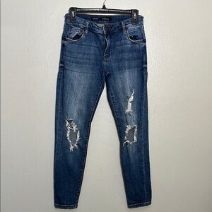 STS Blue Skinny Distressed Jeans